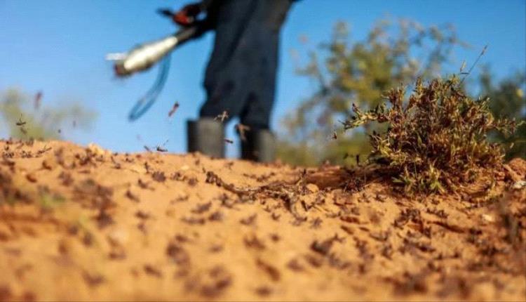 باحثون يطورون مبيدات حيوية فعالة وآمنة لمكافحة البعوض