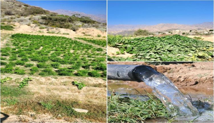 قرية قرن الوشل قرية العطاء التي تستحق الوفاء