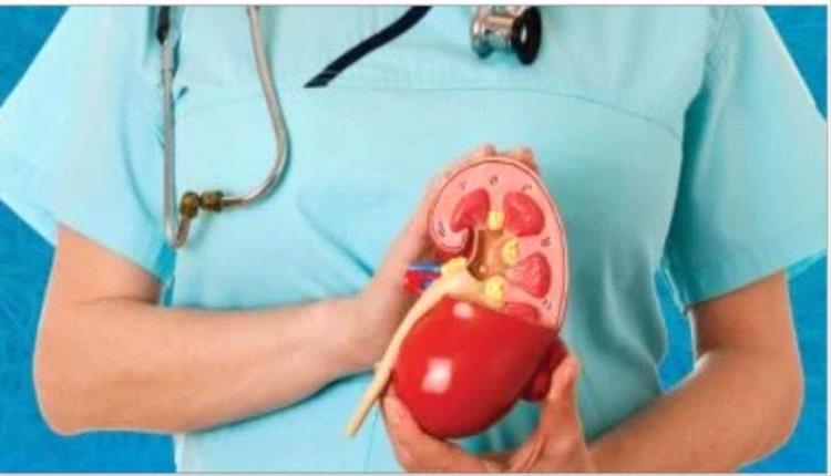 ما هو قصور وظائف الكلى. .طرق العلاج والوقاية