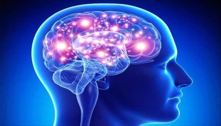 علماء يستكشفون المنطقة المسؤولة عن الوعي في الدماغ