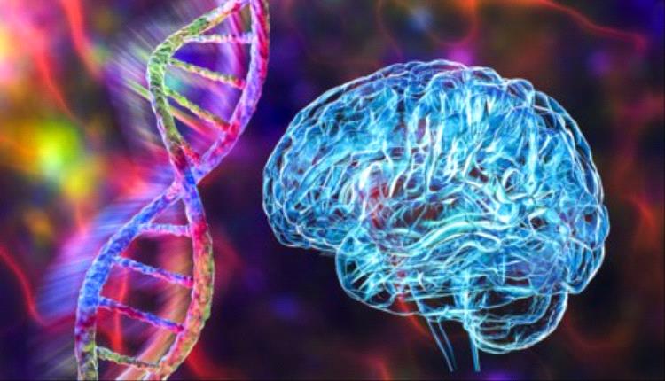 في اختراق يمهد لعلاجات فعالة.. اكتشاف السبب المحتمل لمرض عصبي مدمر