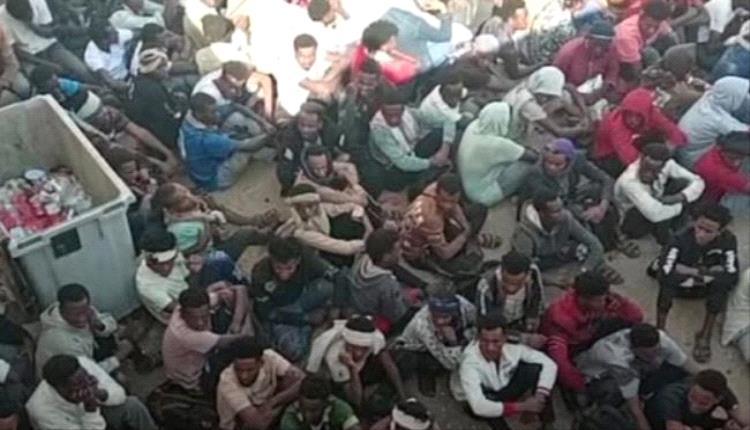 ضبط 564 من المتسللين الأفارقة في المهرة