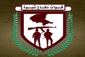 إصابة 3 من أبطال قوات دفاع شبوة بهجوم مسيرة حوثية في بيحان