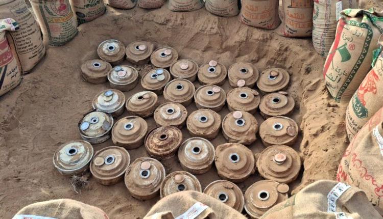 "مسام" ينزع 7444 لغماً وذخيرة وعبوة في اليمن خلال 14 يوماً