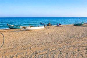 هيئة المصائد السمكية بأحور تكشف جملة من العراقيل وتطالب باستعادة ساحة الحراج وإنقاذ القطاع السمكي