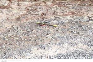 لحج.. الأجهزة الأمنية بالمسيمير تعثر على عبوة ناسفة قرب الخط العام بمنطقة السراحنة