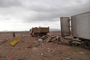 عدن.. إتلاف 9000 عبوة جبن فاسدة في المنصورة