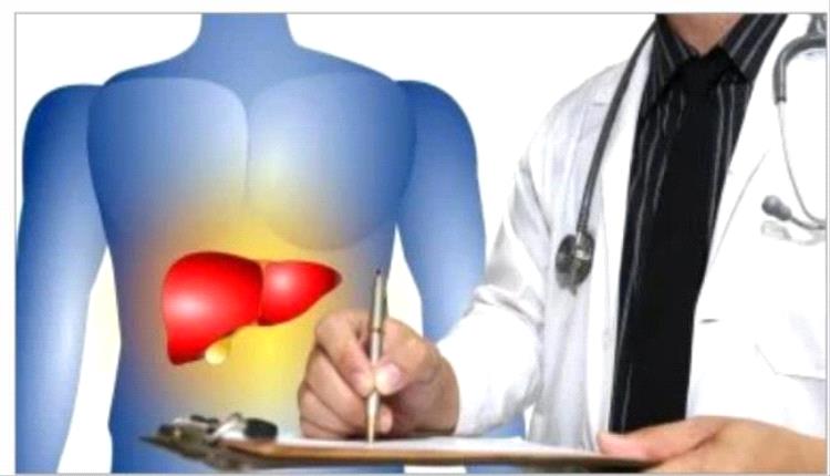مركب جديد يعالج الكبد الدهني الشديد عبر إصلاح الأمعاء