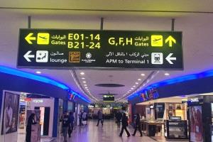 مصر.. إحباط تهريب كمية ضخمة من أدوية الأورام عبر مطار القاهرة