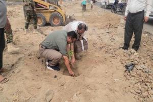 مدير عام البريقة يدشن مشروع تشجير الطريق العام إلى مركز المديرية
