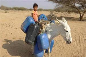 الأمم المتحدة: الاحتياجات المائية في اليمن تتجاوز قدرات الاستجابة الحالية