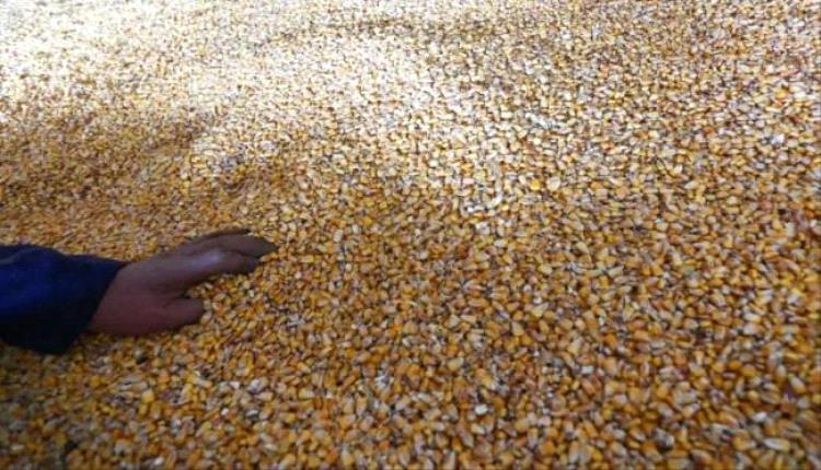 إغلاق هرمز يهدد سلاسل إمداد الحبوب عالمياً