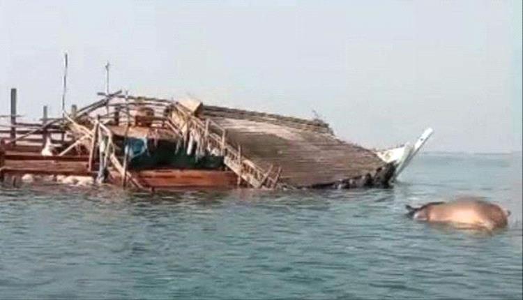 غرق سفينة قادمة من الصومال محمّلة بالمواشي قبالة سواحل رأس العارة