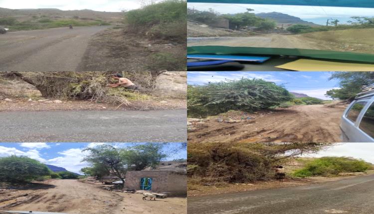 برعايه ودعم رئيس حلف أبناء الحواشب م/المسيمير تتواصل حمله تقليم الاشجار ورفع العوائق والمخلفات من الخط العام بالمسيمير