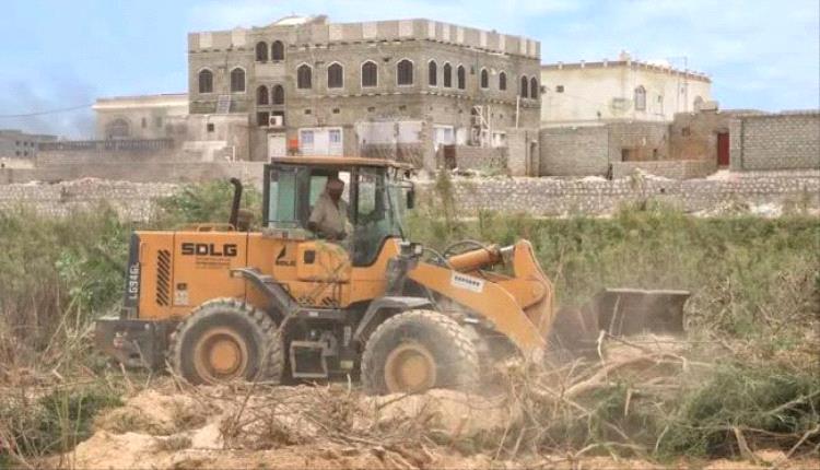 إزالة أشجار السيسبان من أودية المهرة استعدادًا للمنخفض الجوي المحتمل