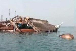 غرق سفينة قادمة من الصومال محمّلة بالمواشي قبالة سواحل رأس العارة