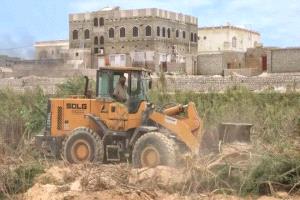 إزالة أشجار السيسبان من أودية المهرة استعدادًا للمنخفض الجوي المحتمل