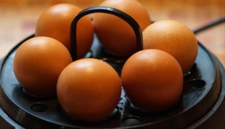 كيف يؤثر تناول البيض على صحة الدماغ