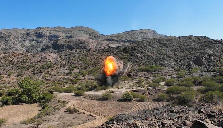 مسام يتلف 299 قطعة من الألغام في الضالع وتطهير 30 ألف متر من الألغام في مزارع بحجة الضالع 
